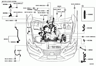 WIRING & CLAMP 2